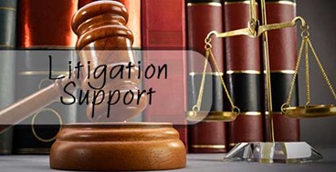 Litigation support